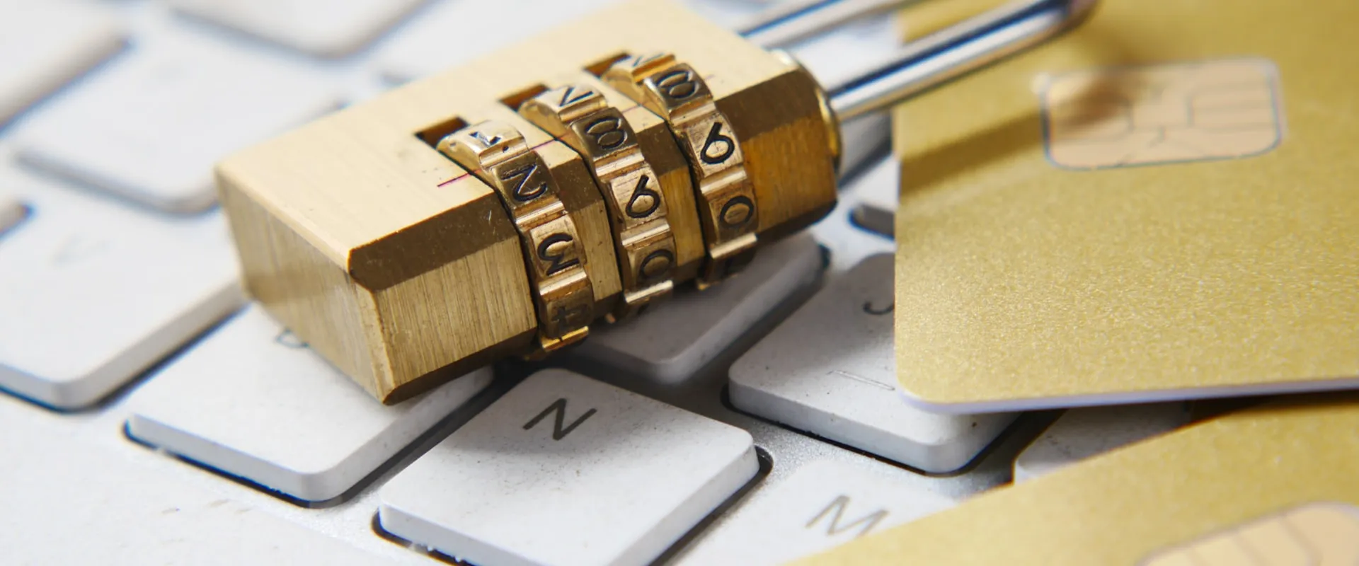 Website Security Essentials Every Business Owner Should Know