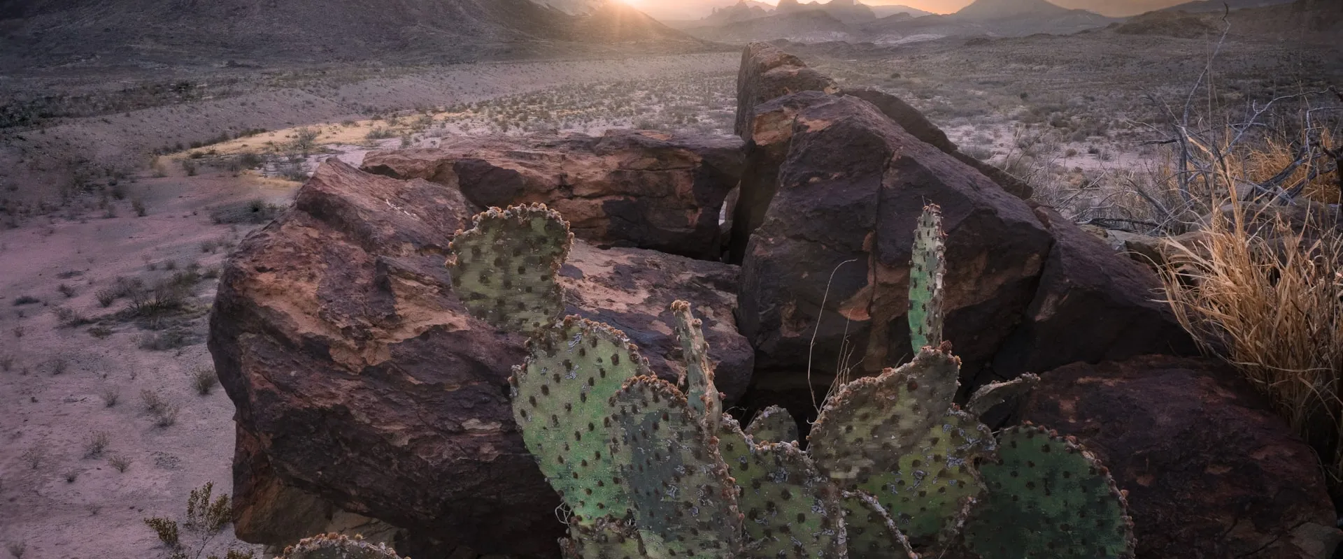 AI Chatbot Development & Integration services in Big Spring Texas