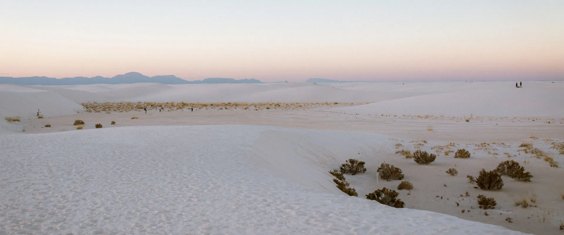 AI Chatbot Development & Integration services in Monahans Texas