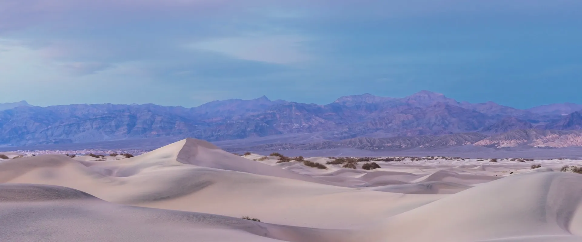 AI Chatbot Development & Integration services in Permian Basin Texas